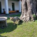 Hotel Colonial