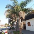 Hotel La Casona