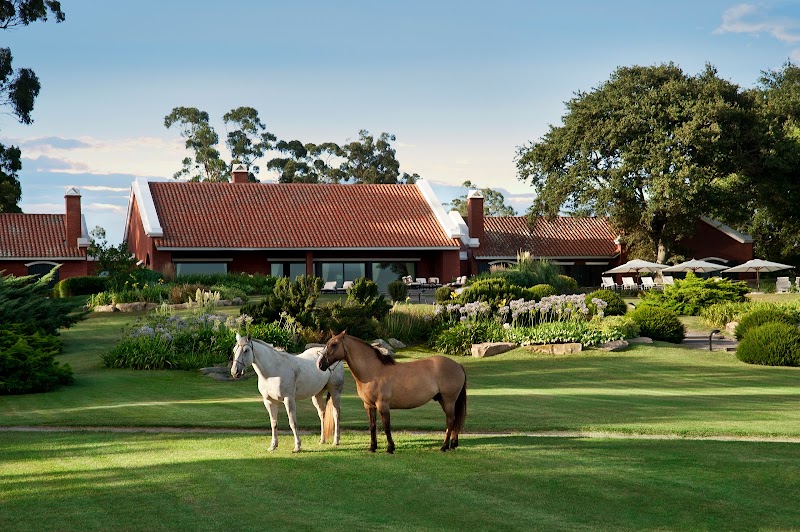 Hotel La Estrella in Villa Mercedes, Argentina