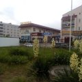 Hotel Lada