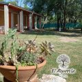 Hotel Los Algarrobos
