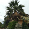 Hotel Malakhit