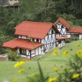 Hotel Selva Negra