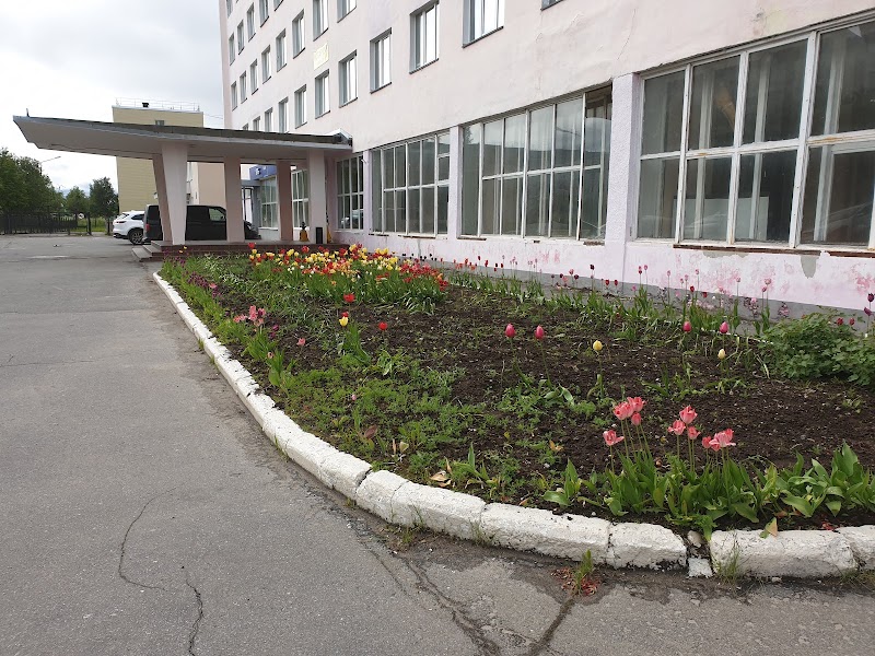 Hotel Severnoye Siyaniye in Gubkinskiy, Russia