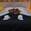 Hotel Tepual