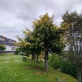 Hotel Ushuaia