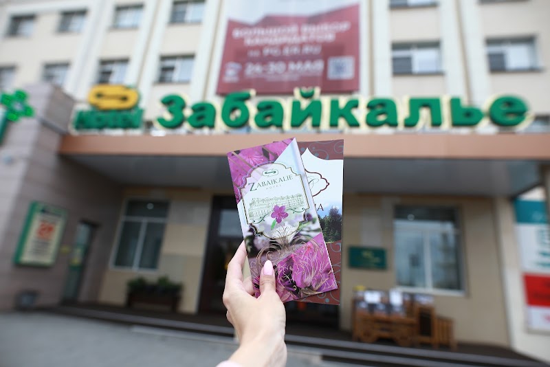Hotel Zabaikalskaya in Chita, Russia