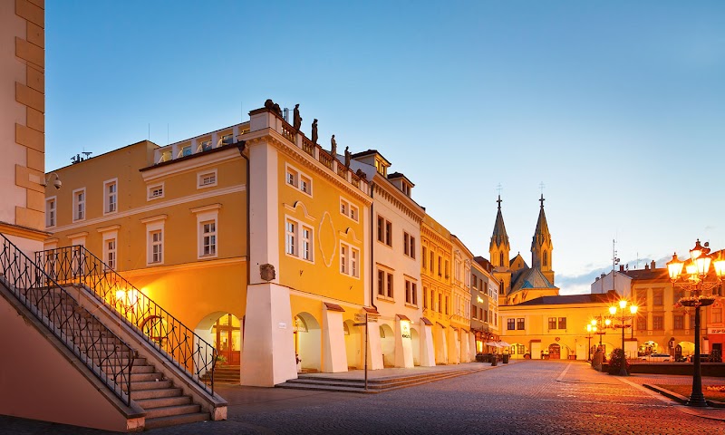 Hotel a Hostel U Zlatého kohouta in Kromeriz, Czechia