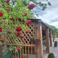 Iris B&B