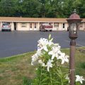 Lakefront Motel