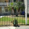 Lemon Tree Motel