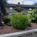 Loop Inn Motel