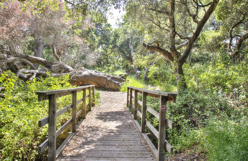 Los Osos Oaks Motel in Los Osos, California, United States