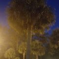 Magnolias Inn