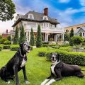 Minnesota Bed and Breakfast