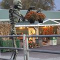 Mullica Hill Farmhouse Bed & Breakfast