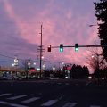 Orchards Inn Motel