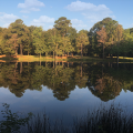 PJF Farm & Lodge