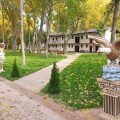 Paradise Complex