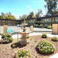 Peach City Inn
