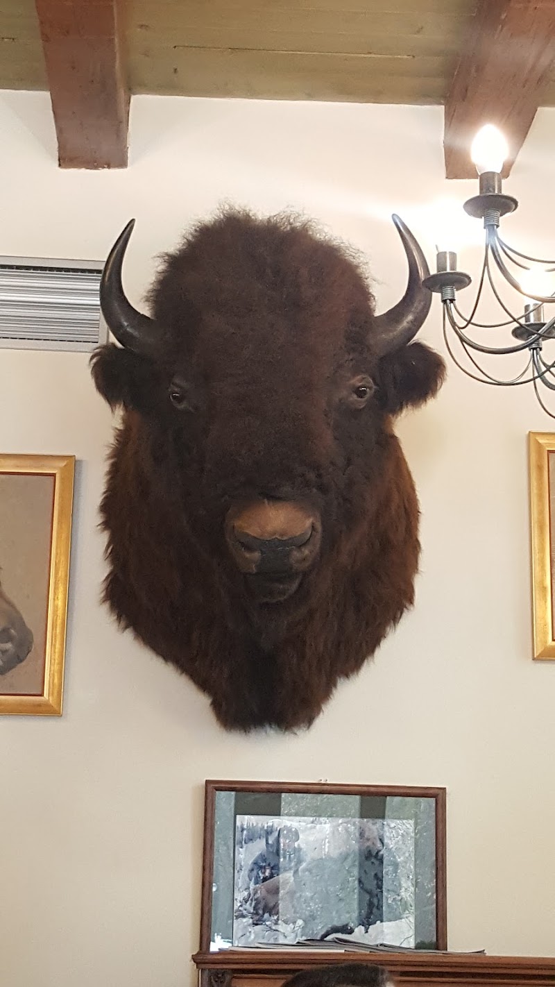 Pension Charlie in Podebrady, Czechia