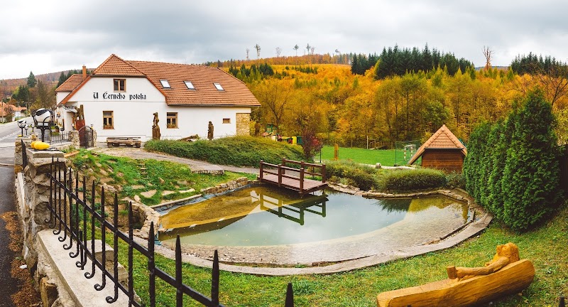 Penzion U Černého Potoka in Hodonin, Czechia