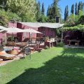 Posada Borravino