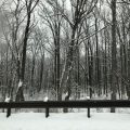 Randallstown Inn