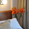 Roberta Rosa de Fontana Suites