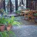Rousseau’s Garden