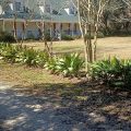 Royal Oaks Bed & Breakfast