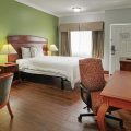 Starlight Inn