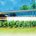 Stone’s Throw Winery Cottages