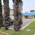 Stratford House Inn & Suites