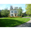 The Antique Mansion Bed and Breakfast