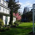 The Frogtown Inn