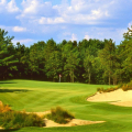 The International Golf Club & Resort