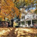 The Jackson House