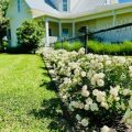 The Magnolia House