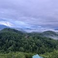 The Nest Vacation Rental