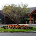 The Twisted Olive Bed and Breakfast