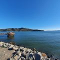 Tiburon Landing