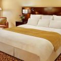 Trumbull Marriott Shelton