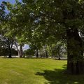 Velich Country Club