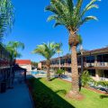 Vista Inn & Suites Tampa