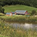 Wolfway Farm