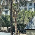 Wyndham Garden Phoenix Midtown