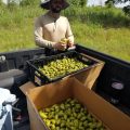 Yegua Creek Farms Retreat