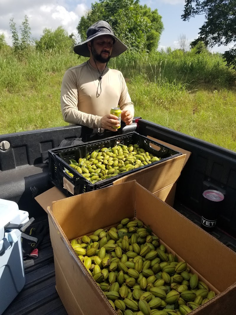 Yegua Creek Farms Retreat in Cedar Creek, Texas, United States