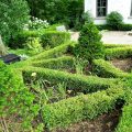 Yountsville Mill-Inn & Garden